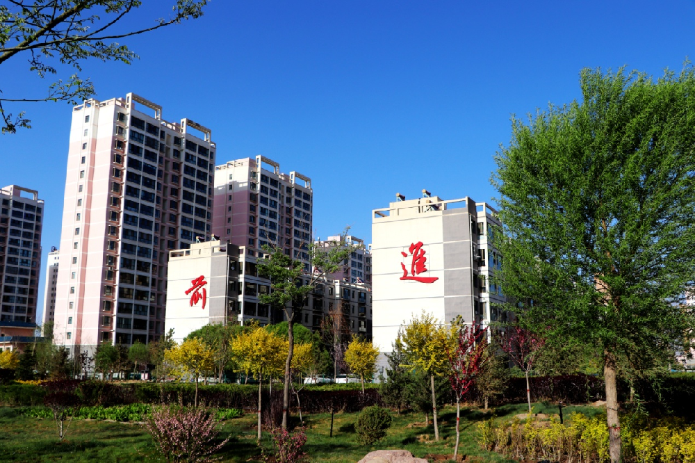 甘肃月博官方网站牧业被中共张掖市委、张掖市人民政府命名为 “张掖市精神文明先进集体”