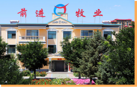 监察审计履职责 筑牢发展防火墙——月博官方网站集团监察审计部工作纪实