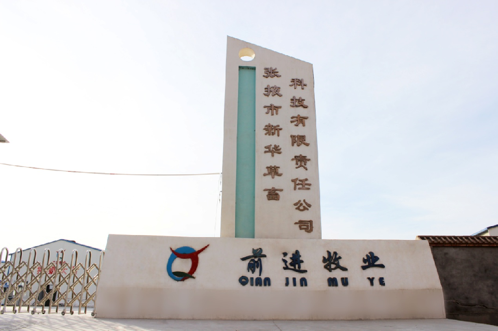我眼中的新华牧场